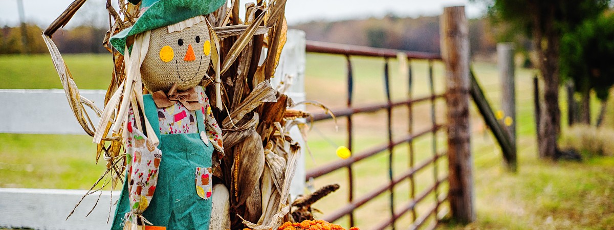 Swallow Hill Farm, LLC